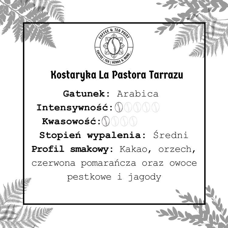 Kostaryka La Pastora Tarrazu.png