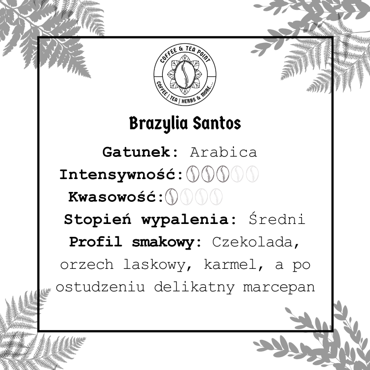Brazylia Santos.png