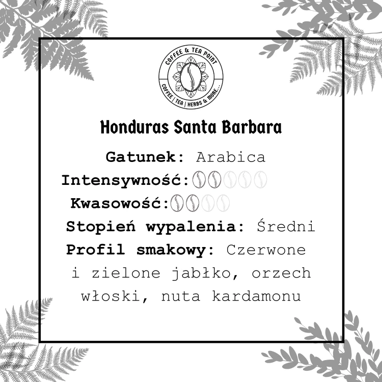 Honduras Santa Barbara.png