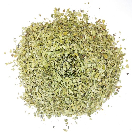 Y. Yerba Green.jpg
