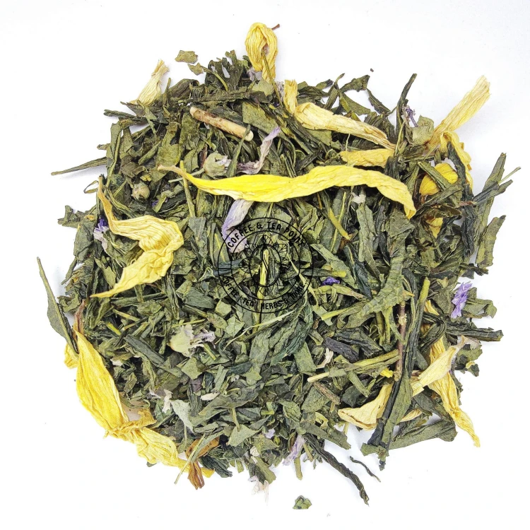 Z. Kaktusowa.jpg